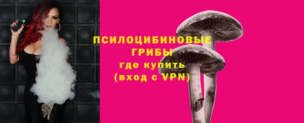 спиды Абдулино