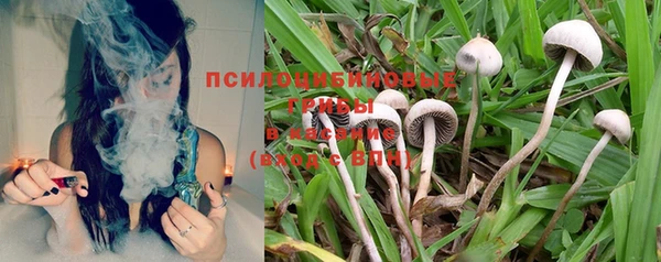 спиды Абдулино