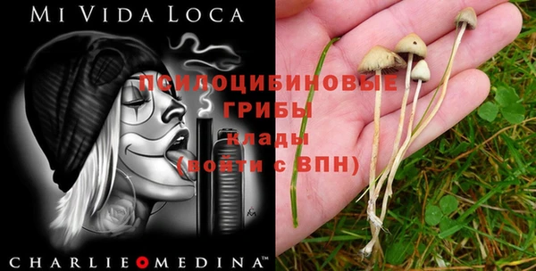 мефедрон Абаза