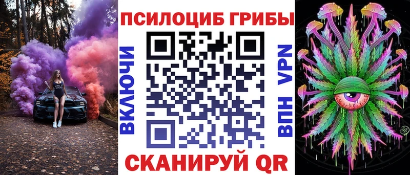Псилоцибиновые грибы мицелий  shop наркотические препараты  Котлас 