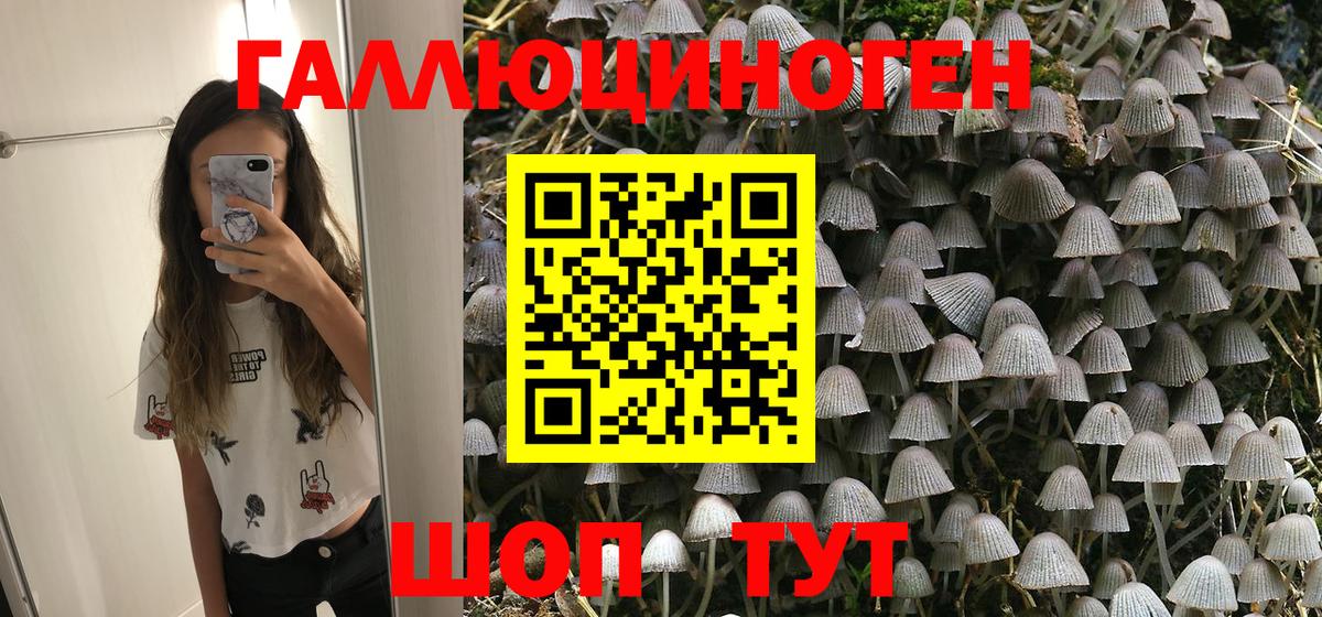 Псилоцибиновые грибы ЛСД  Вход с VPN  Котлас  Псилоцибиновые грибы MAGIC MUSHROOMS 