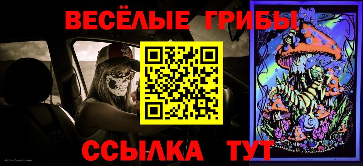 Галлюциногенные грибы прущие грибы Котлас
